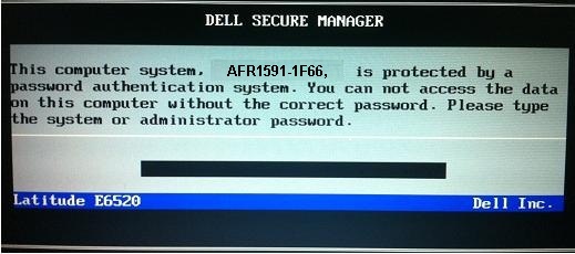 Dell 1F66 System password