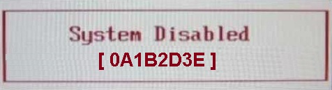 Fujitsu system disabled bios master password